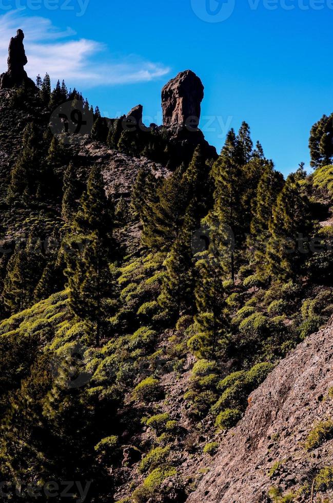 szenisch ländlich Landschaft foto