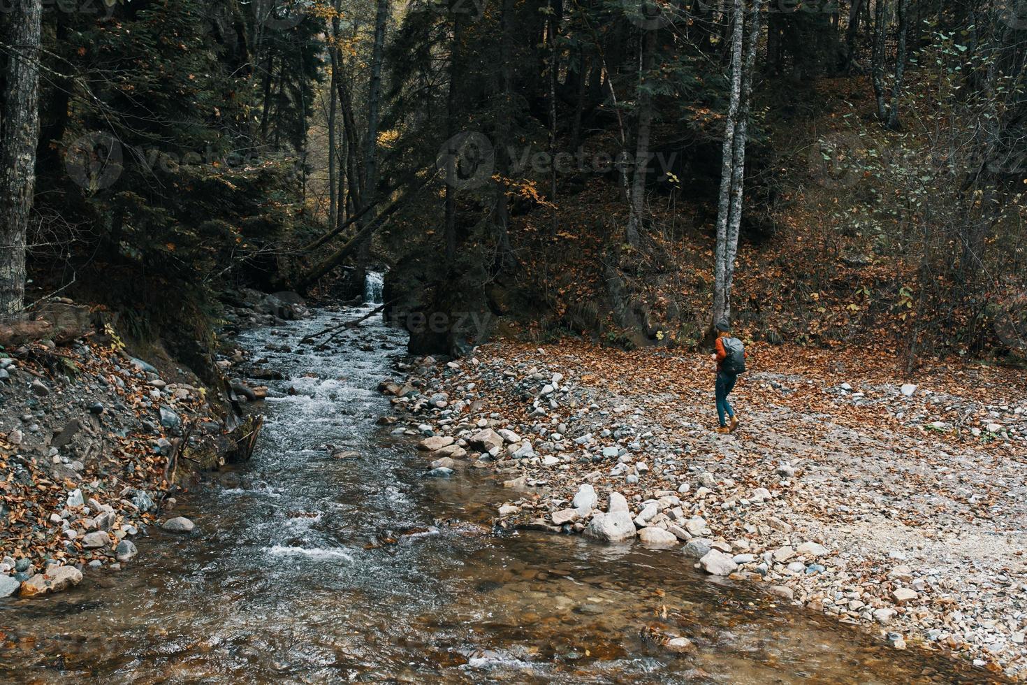 Herbst Wald Natur Berge Fluss frisch Luft Reise Tourismus foto