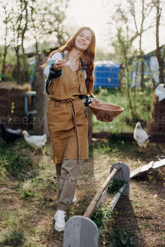 ein Frau gießt organisch Futter in ein Hähnchen Feeder beim ein Bauernhof im ein Plaid Shirt, Hose, und Schürze auf ein sonnig Sommer- Abend Sonnenuntergang foto