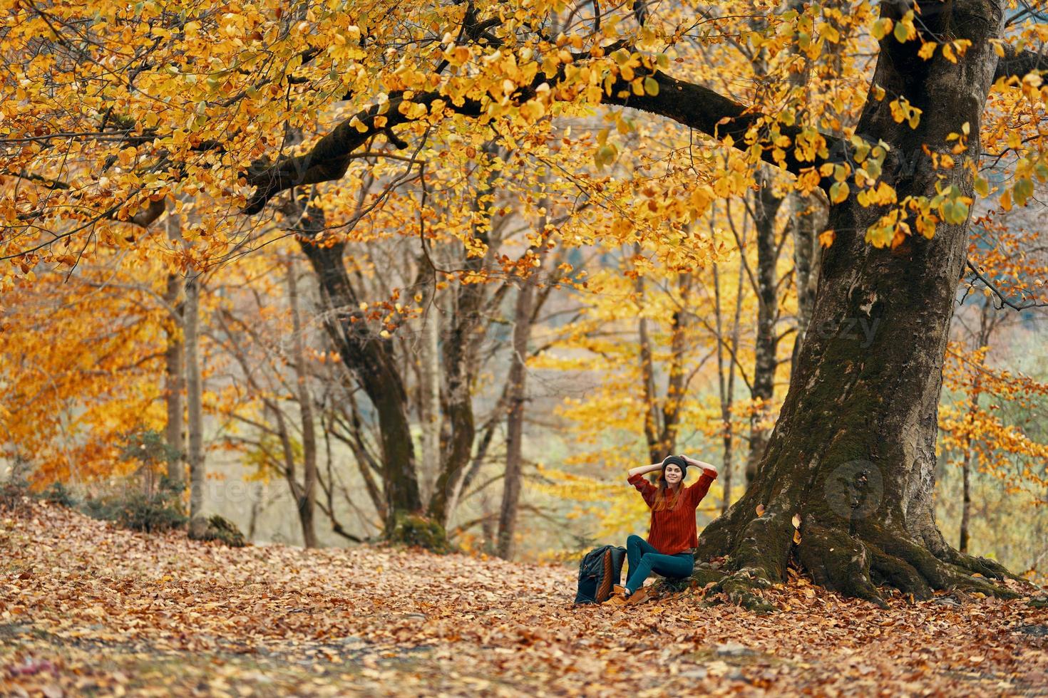 Frau im Herbst Wald Sitzung unter ein Baum Landschaft Gelb Blätter Modell- foto