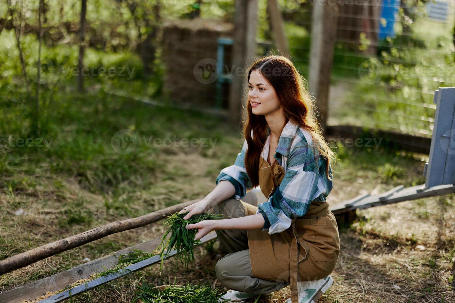 ein jung Frau Einspeisungen ihr Hühner auf das Bauernhof mit Gras, tragen ein einfach Plaid Shirt, Hose und Schürze, und lächelnd zum das Kamera, Pflege zum das Tiere foto