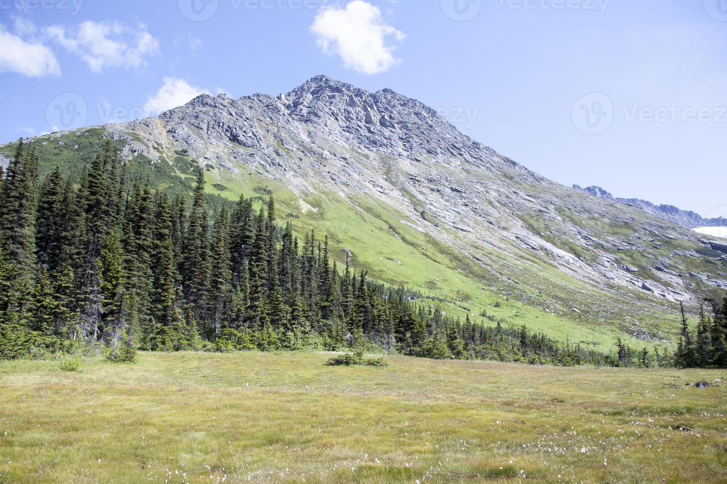 Skagway Stadt, Dorf Oberer, höher dewey See Wiese und ein Berg foto