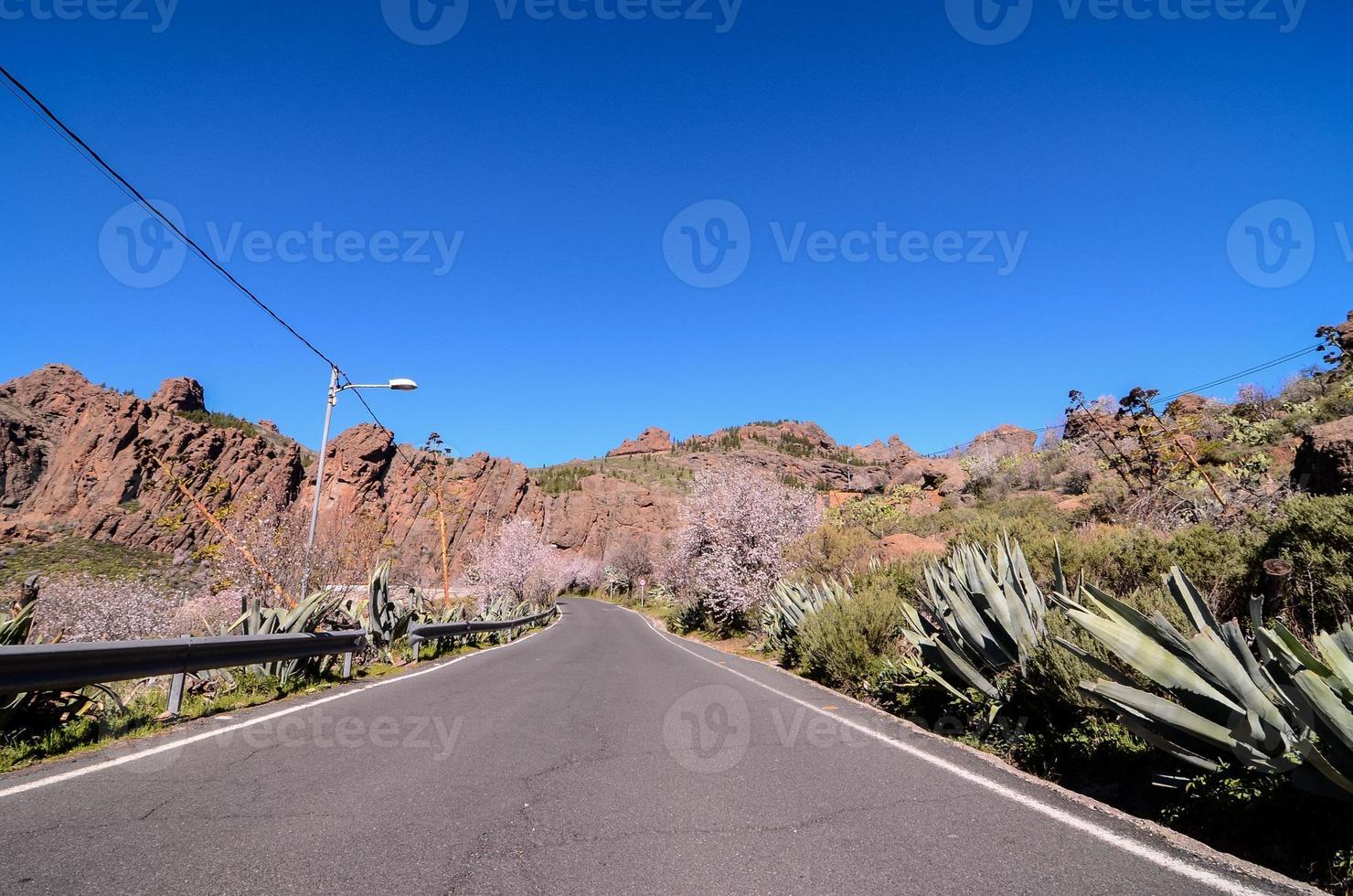 Straße auf dem Land foto