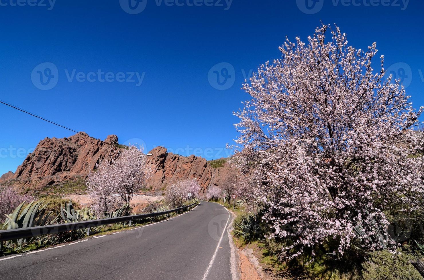 Straße auf dem Land foto