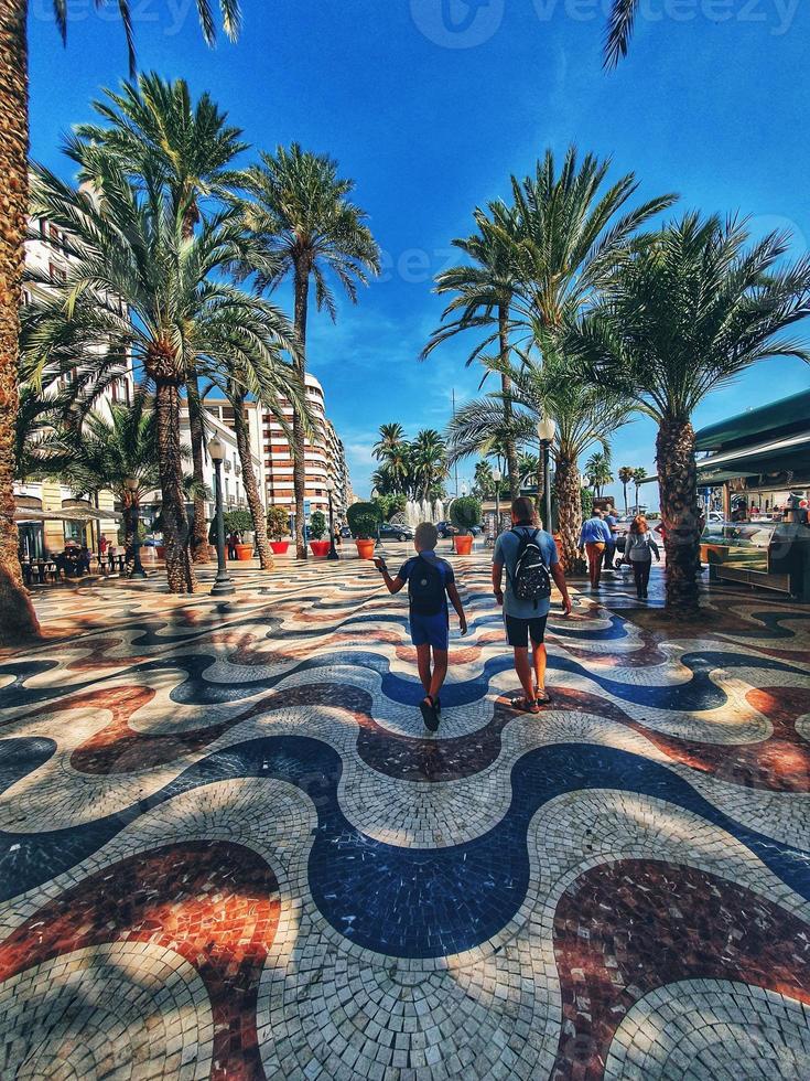 Sommer- Landschaft mit Paseo de la Erklärung alicante im Spanien foto