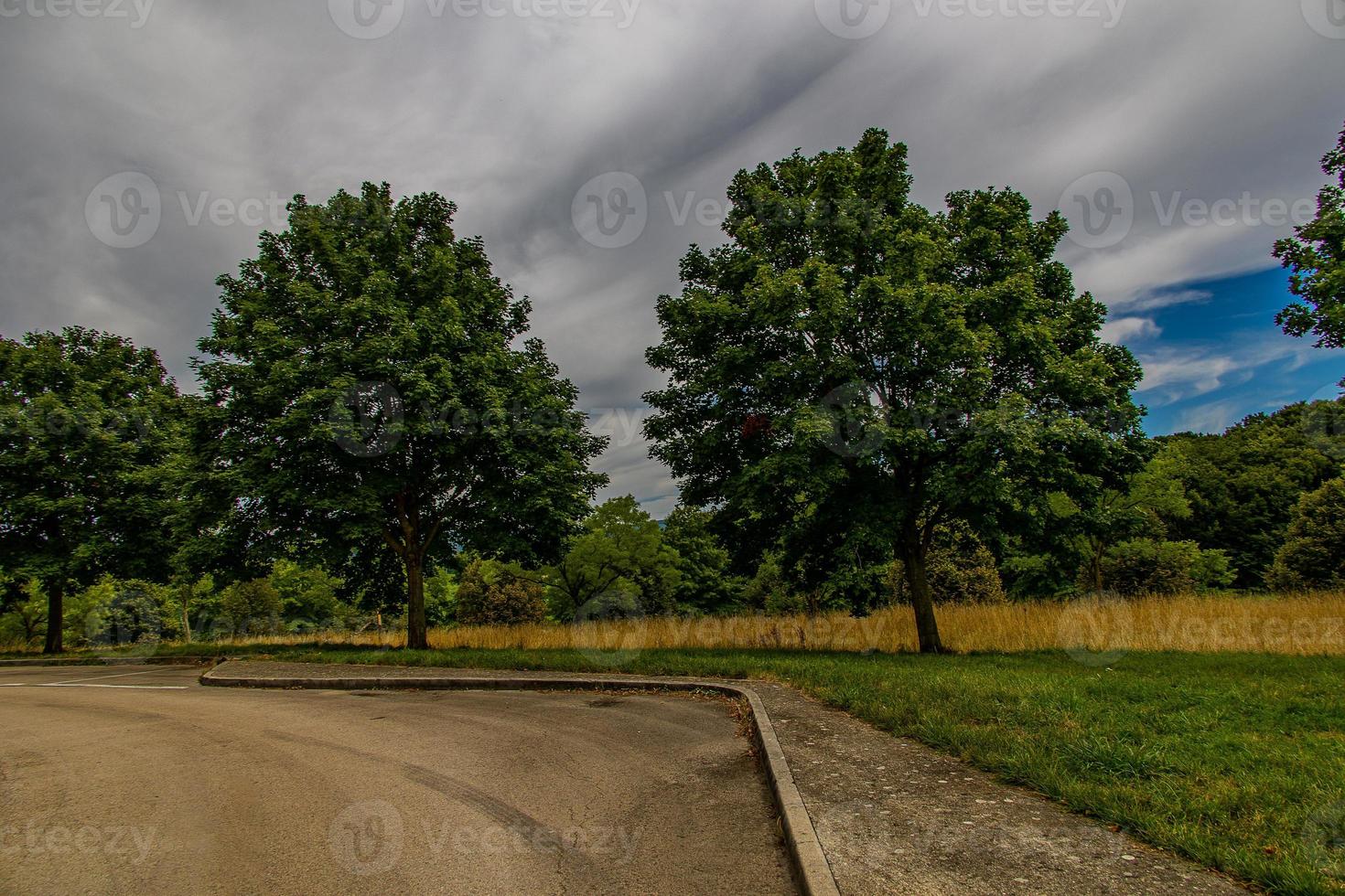 Sommer- Landschaft mit Grün Bäume, Wiese, Felder und Himmel mit Weiß Wolken und Beton Straße foto