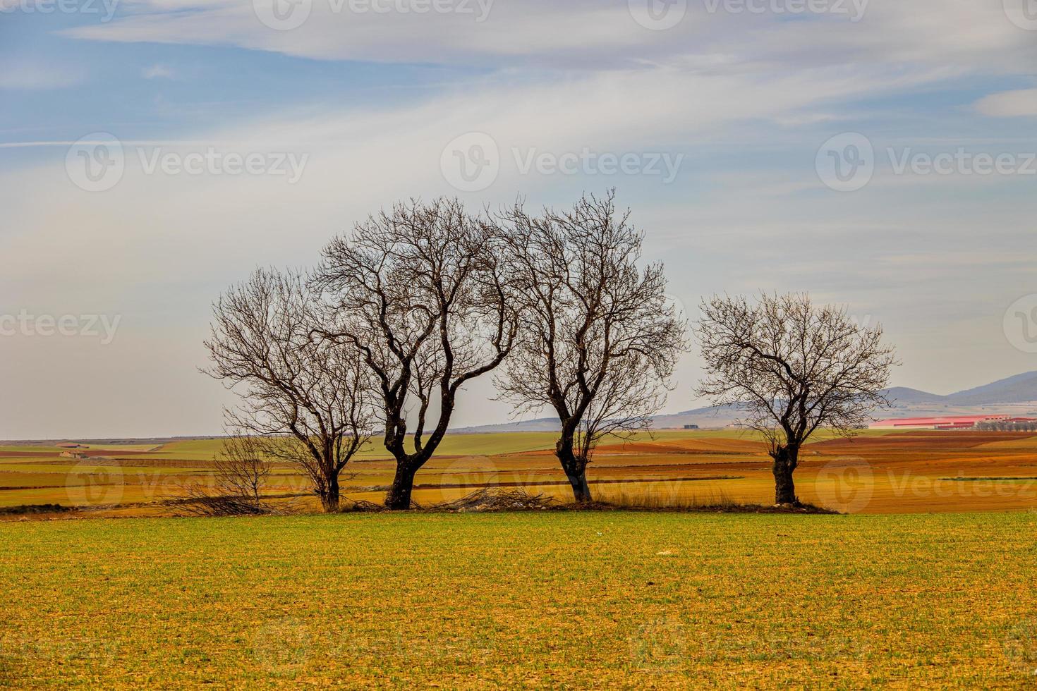 heiter minimalistisch Landschaft Aragon Spanien im Winter Tag foto