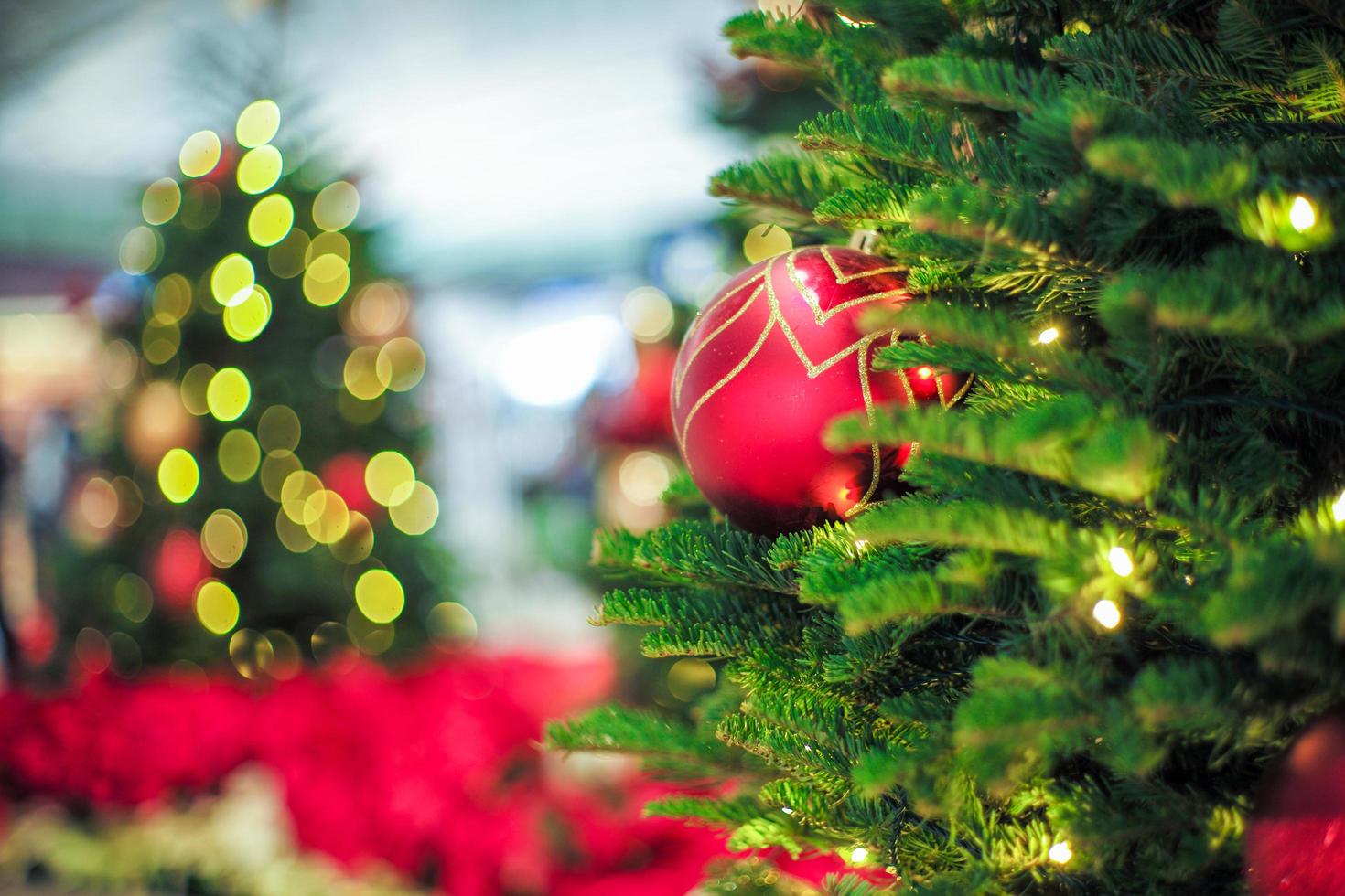 Nahaufnahme Weihnachtsbaum und Zweige mit roten Kugel und Bokeh Lichter verziert foto