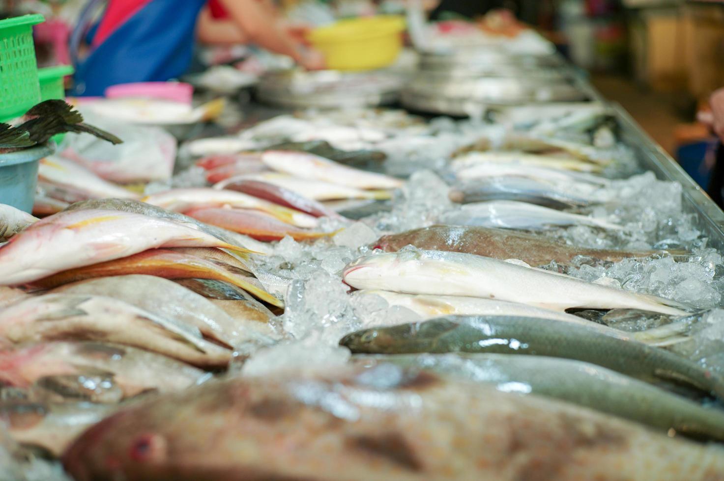 Selektiver Fokus auf rohen frischen Fisch auf dem Tablett für den Verkauf auf dem Markt foto