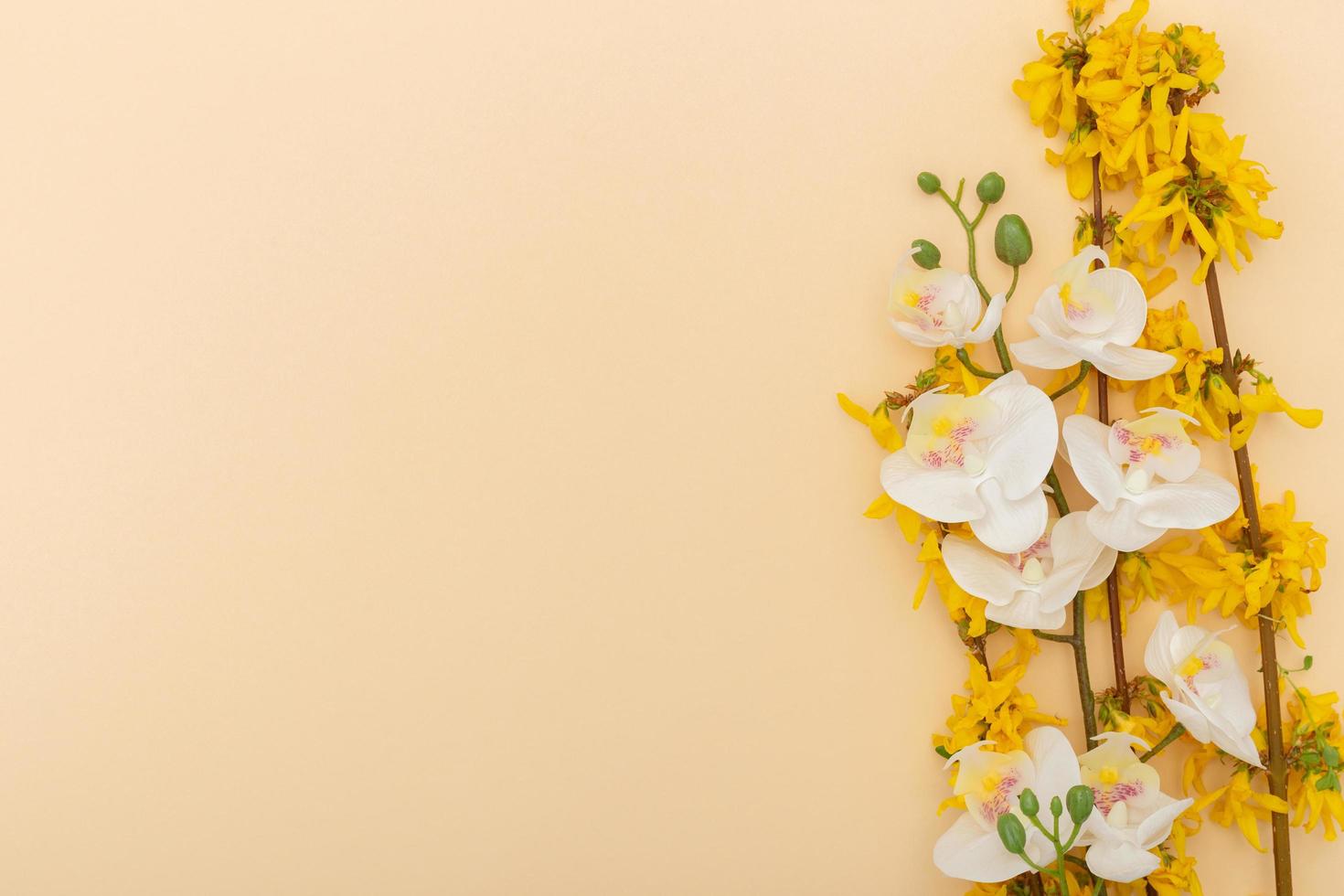 minimalistisch Frühling Beige Hintergrund mit Pastell- Farben und Frühling Elemente eine solche wie Weiß Orchidee, Geäst und Gelb Blumen, geeignet zum Broschüren, Flyer, Banner, oder Tapeten. kreativ Layout foto