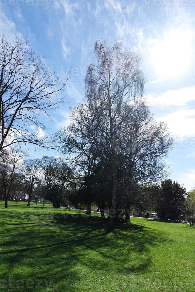 niedrig Winkel Aussicht von Baum und Geäst beim lokal Park foto