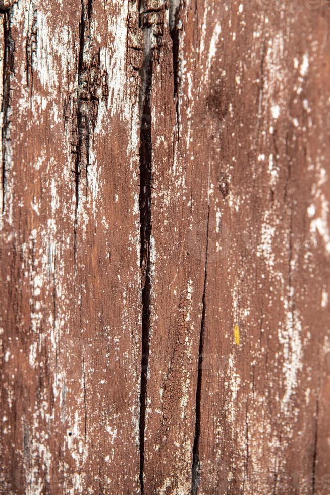 interessant Original natürlich Hintergrund von ein alt bräunlich Baum Kofferraum im Nahansicht foto