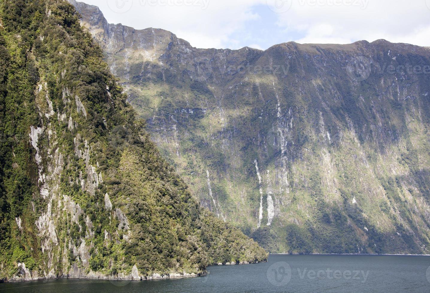 Fjordland National Park Küste bedeckt durch Wald foto