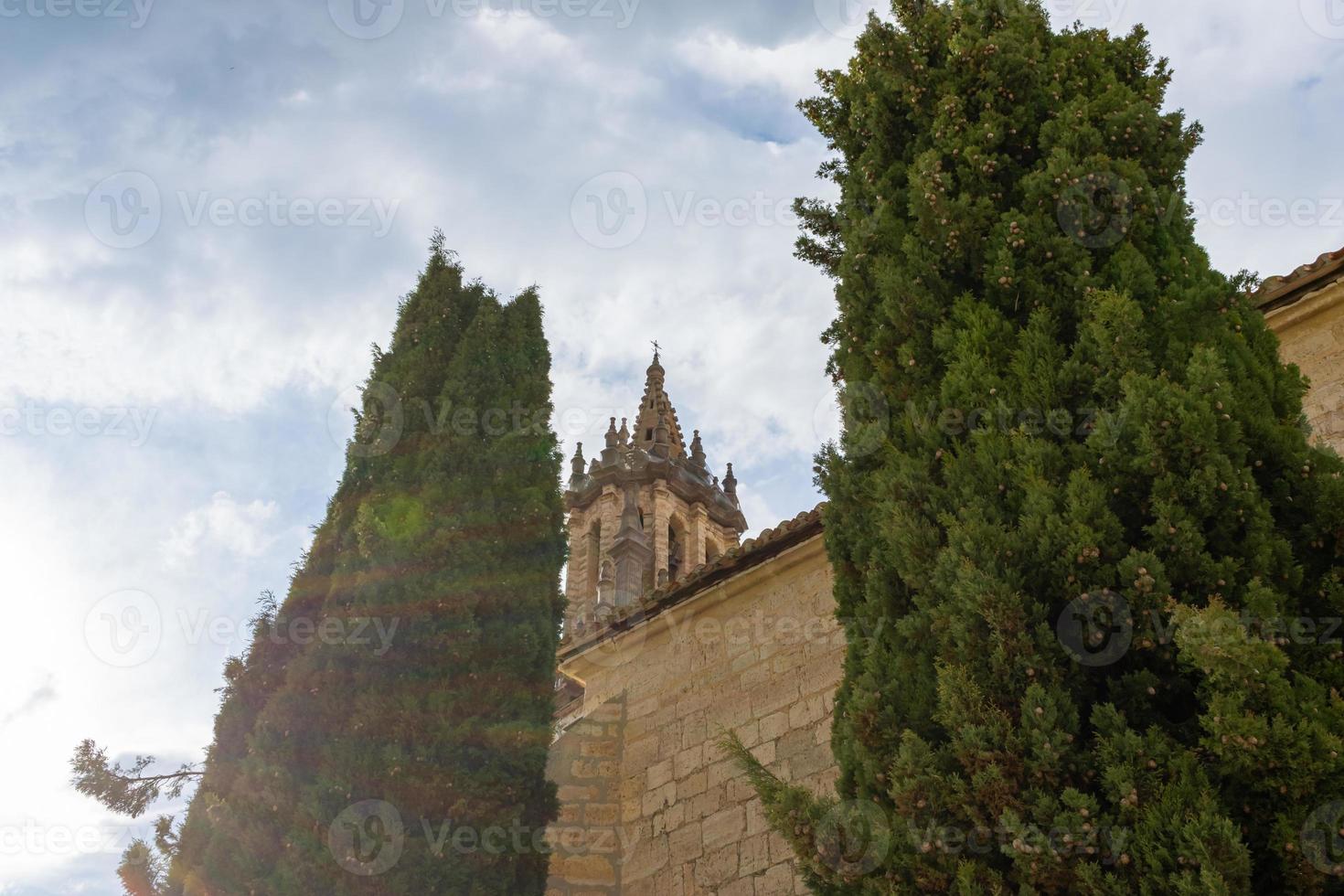 Stein Turm gotisch Kirche unter Bäume foto