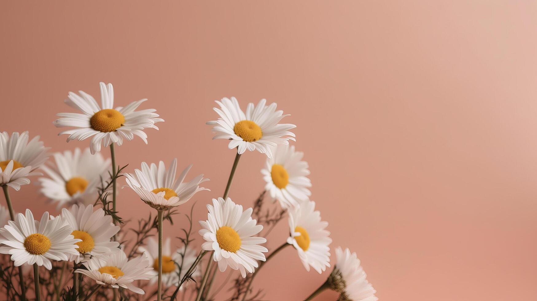 Kamille Blume auf Rosa Hintergrund. Illustration ai generativ foto