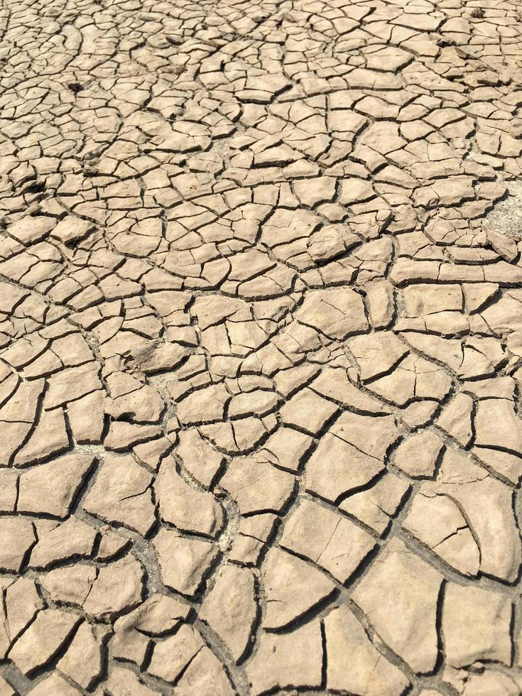 Draufsicht Nahaufnahme verwitterte Textur und Hintergrund von trockenem rissigem Boden foto