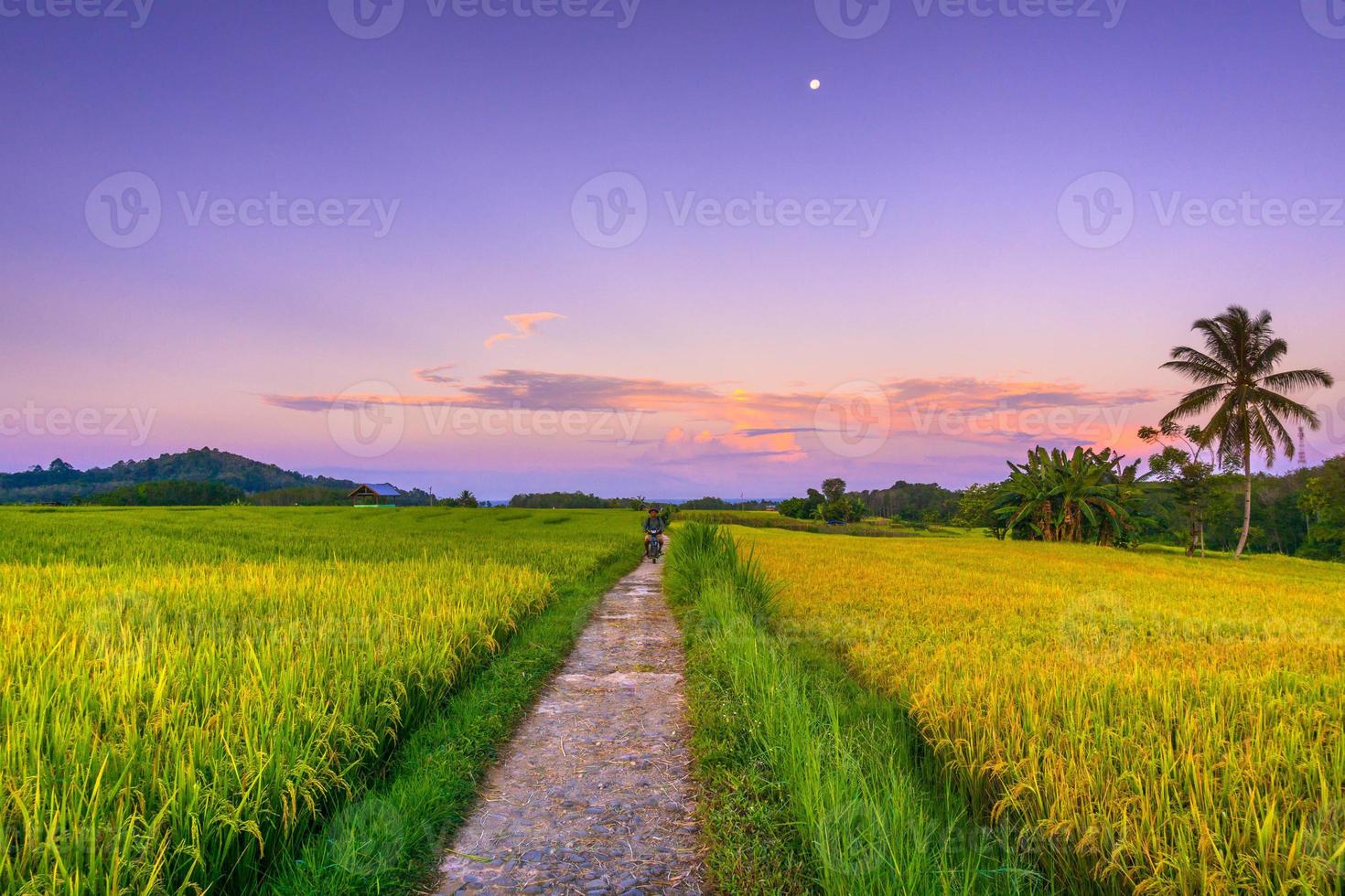 Antenne Aussicht schön Morgen Aussicht von Indonesien Über Berg und Wald foto