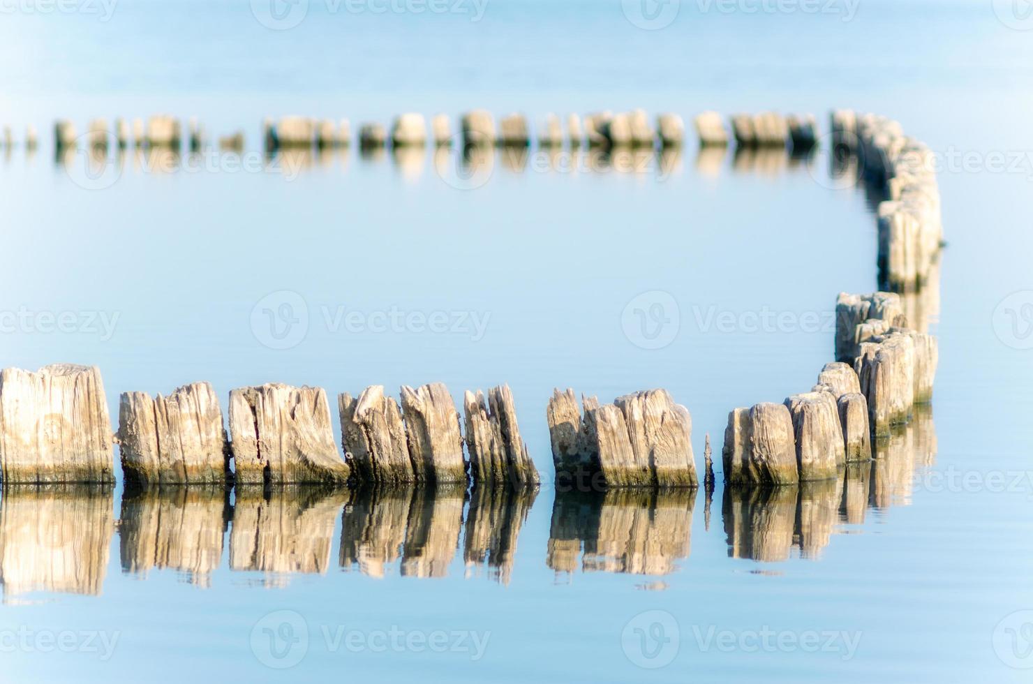 Gruppe von Holzpfosten im Wasser foto