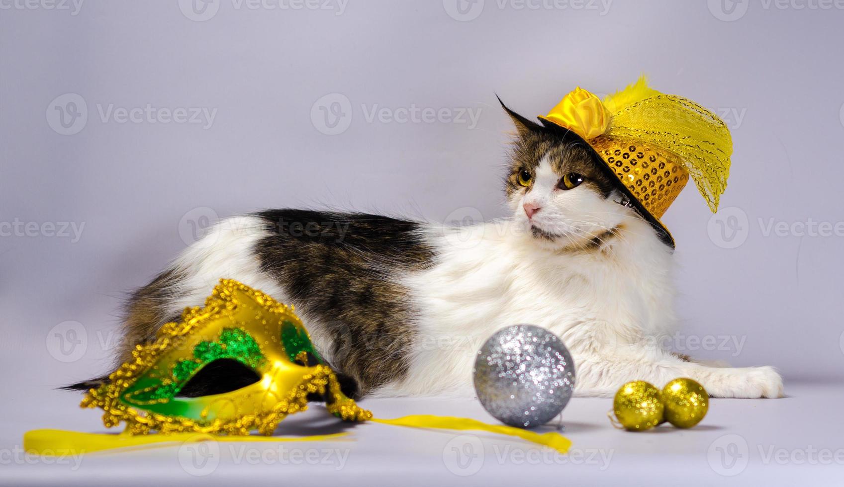 Katze trägt einen Hut mit Dekorationen foto