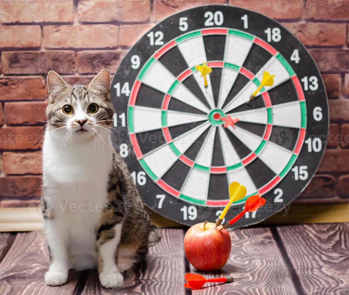 Katze mit Dartscheibe und Apfel foto