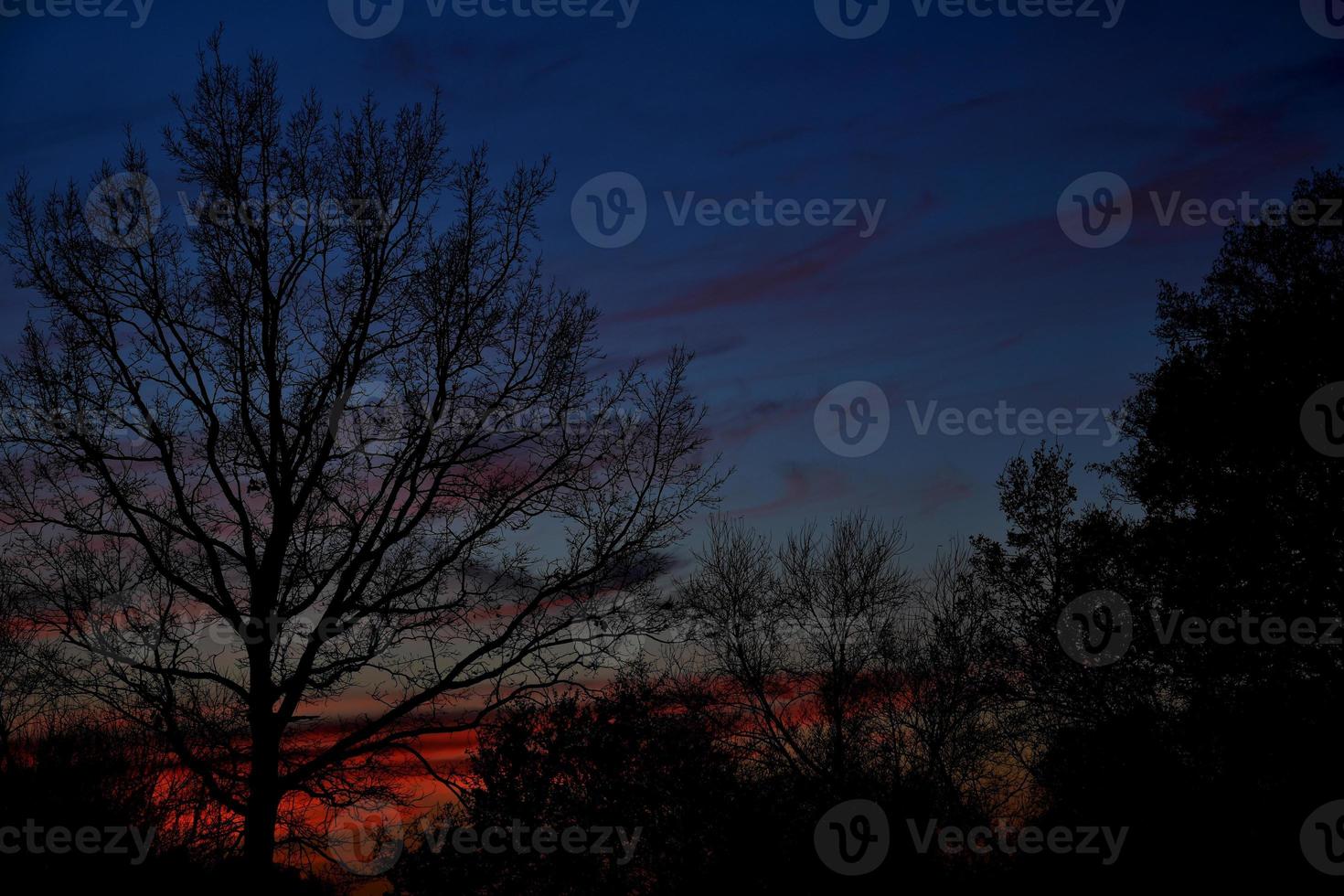 bunt Sonnenuntergang mit rot Himmel und Bäume und Wolken foto