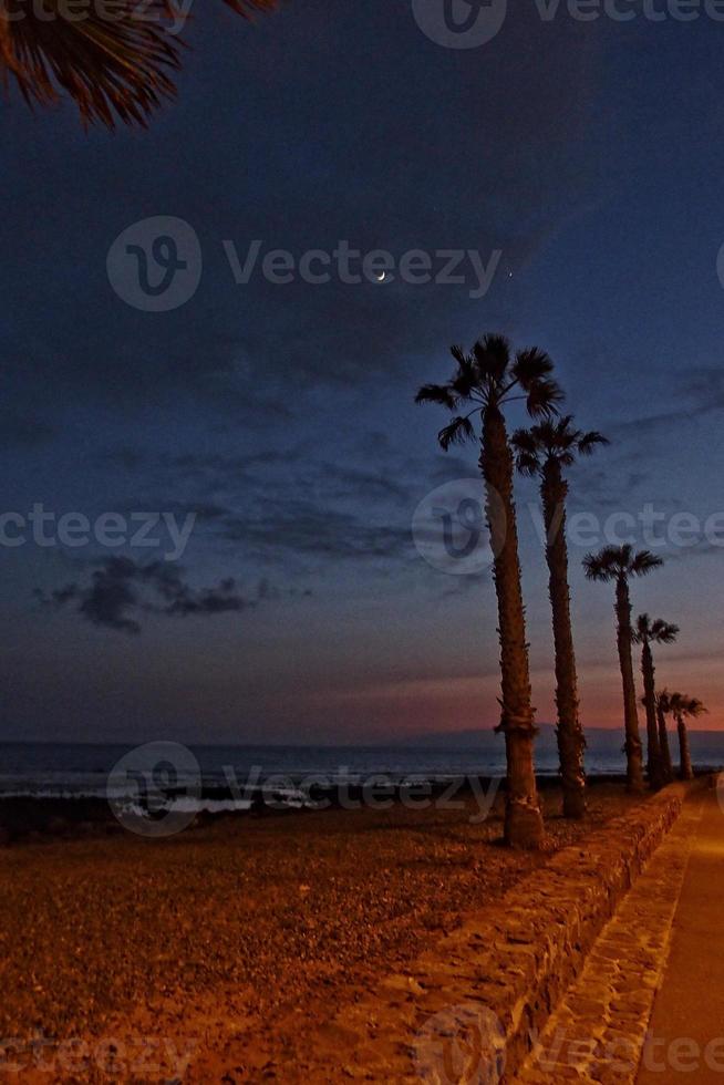 Ruhe Nacht Landschaft auf das Ufer mit Palme Bäume von das Ozean im Teneriffa, Spanien foto