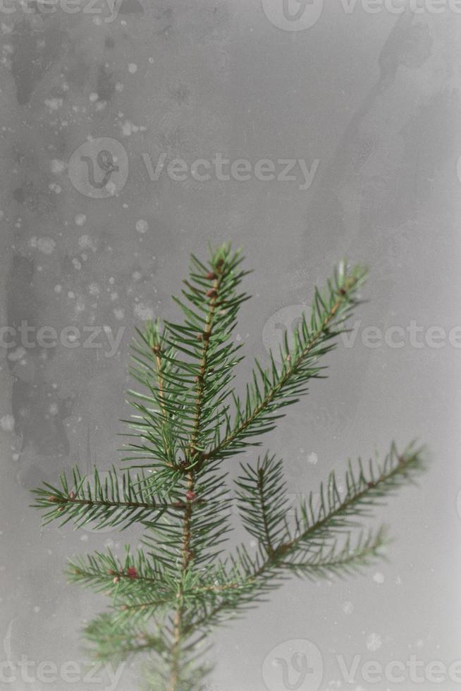 Weihnachten Baum Dekoration im ein dekorativ Krug foto