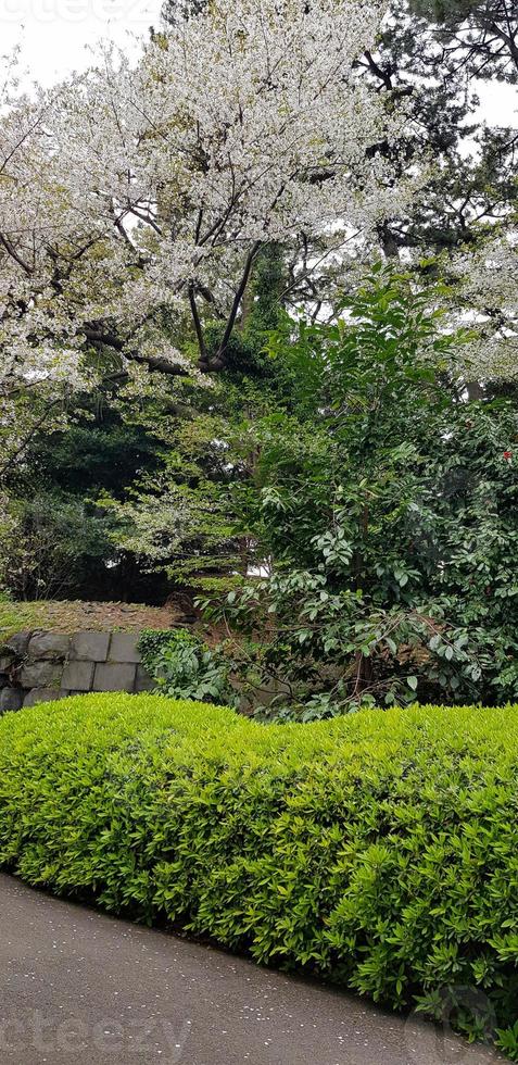 ishimuro Stein Keller im das Osten Gardens von das Kaiserliche Palast im Tokio. foto