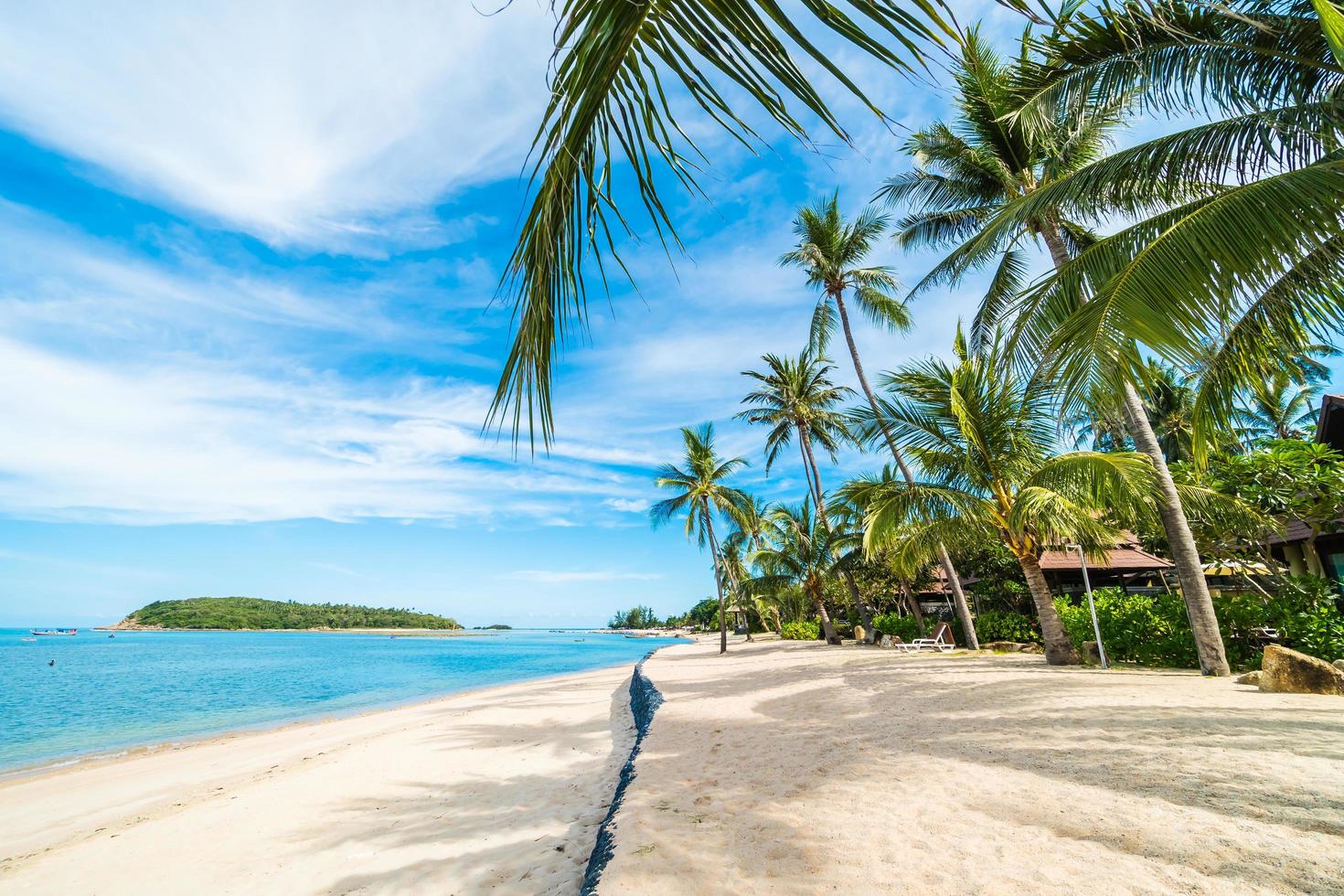 schönes tropisches Strandmeer und Sand mit Kokospalme auf blauem Himmel und weißer Wolke foto