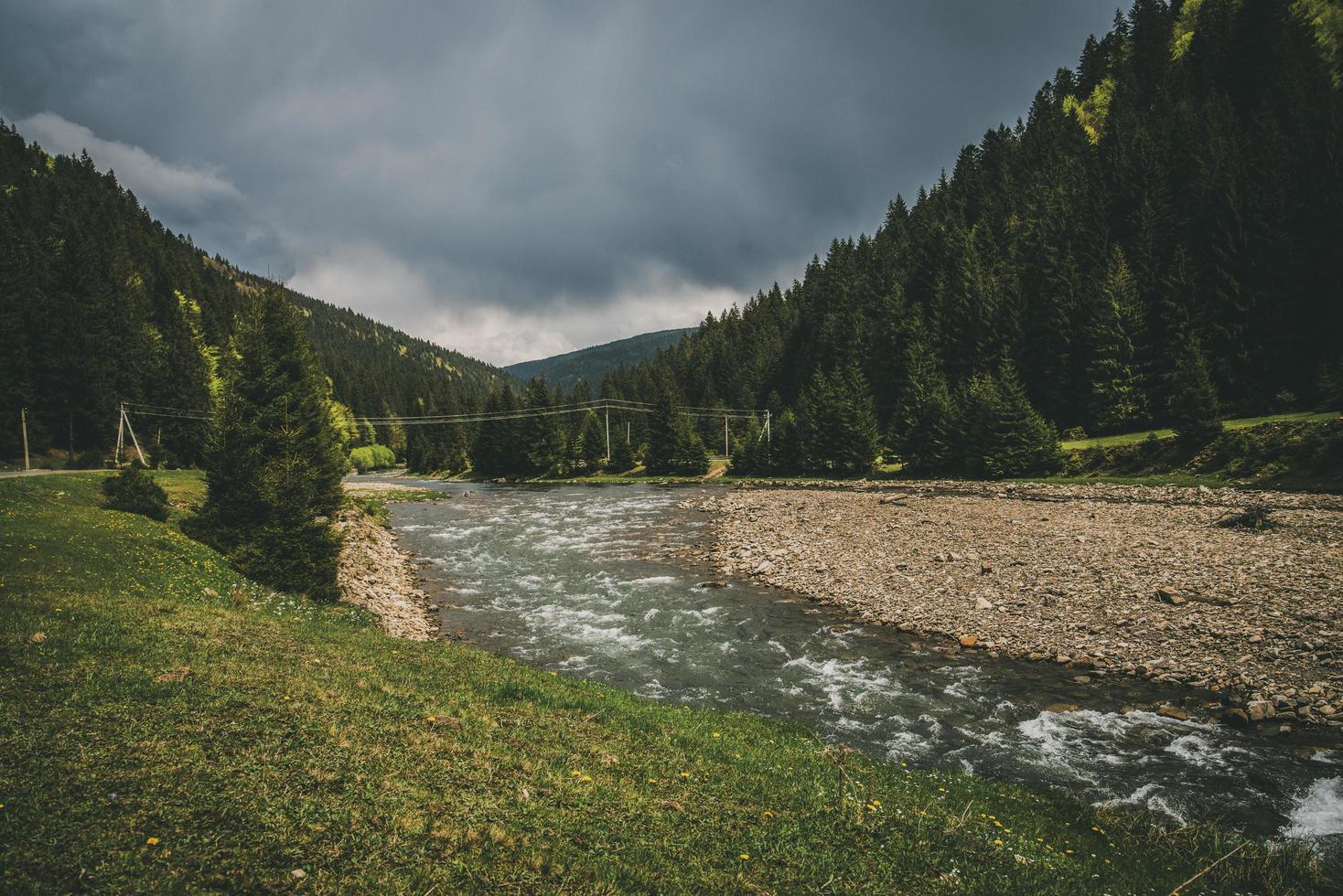 Fluss mit hohen Bäumen foto