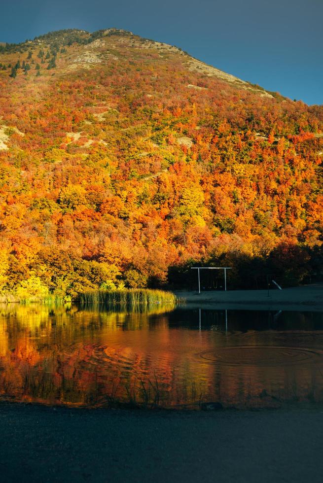 goldene Herbstlandschaftsansicht foto