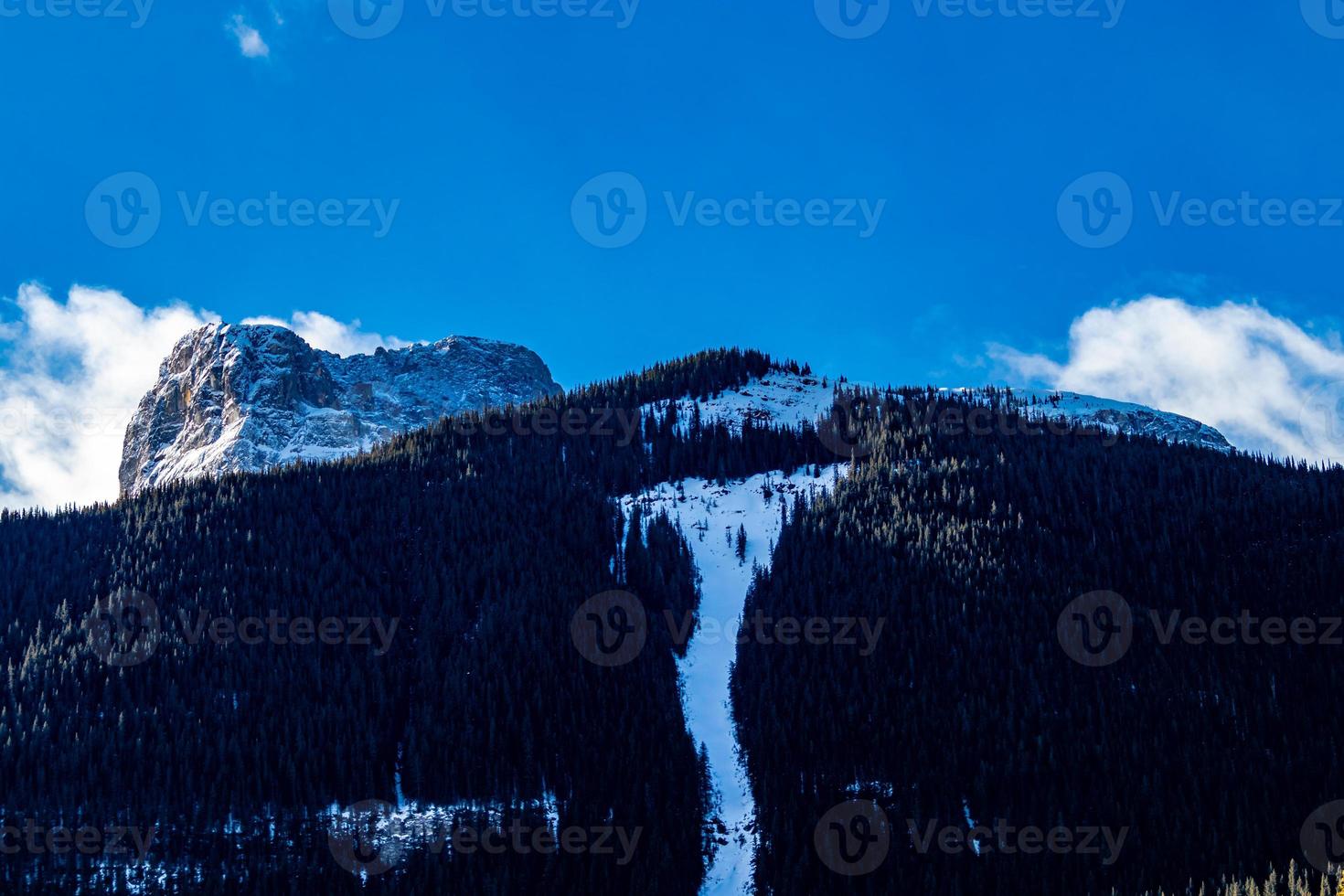 Berge mit Bäumen und Schnee foto