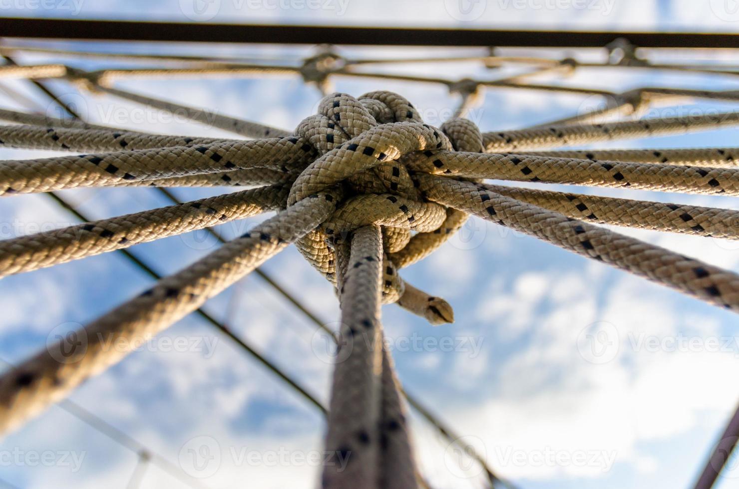 zu einem Knoten hochschauen foto