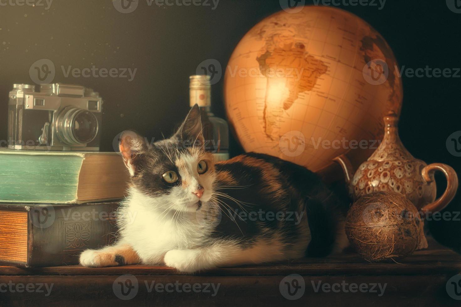 Katze mit Vintage Reiseartikeln foto