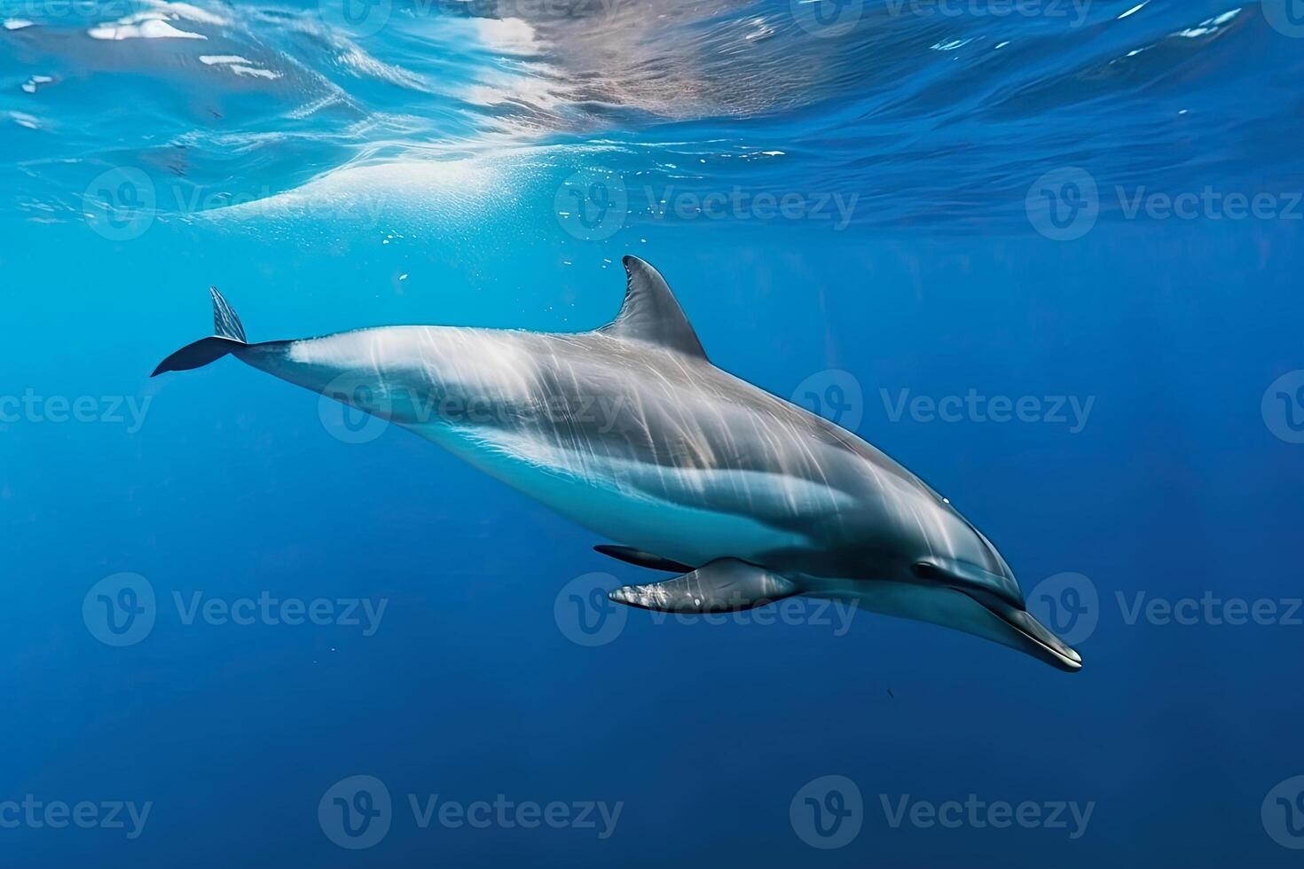 generativ ai Illustration von ein Flaschen Nase Delfin foto