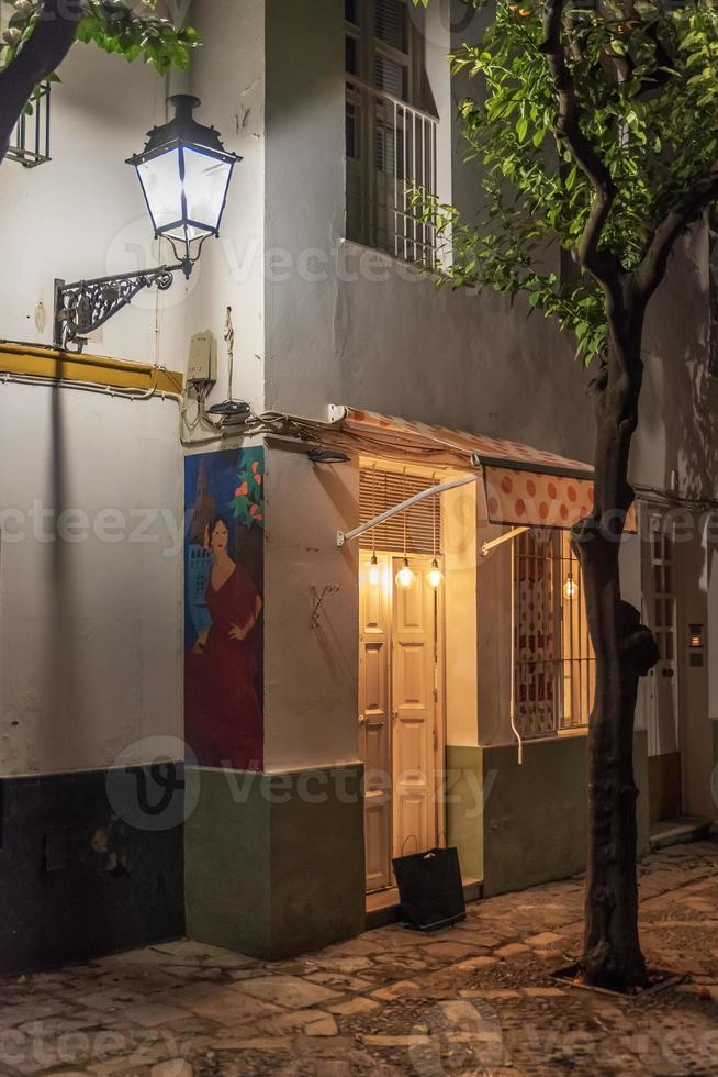 anders Winkel von Sevilla und es ist Straßen, einer von das größte Städte von Andalusien mit es ist wunderbar historisch Struktur foto