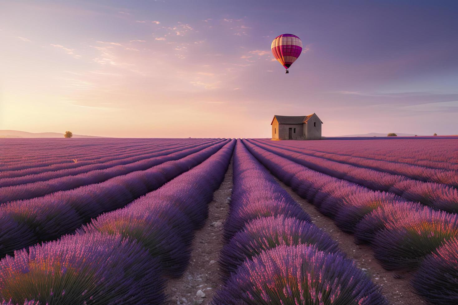 endlos Lavendel Feld mit wenig Schuppen und fliegend heiß Luft Ballon beim ein Sonnenaufgang Zeit im Valensole, Provence, Frankreich foto