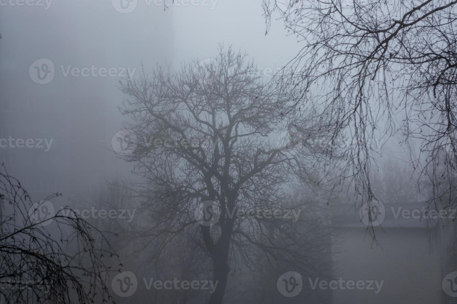 früh Morgen im ein nebelig Stadt, Dunst. foto