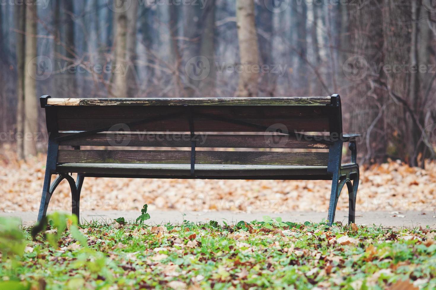 alt hölzern Bank im das Herbst Park, Nein Menschen foto