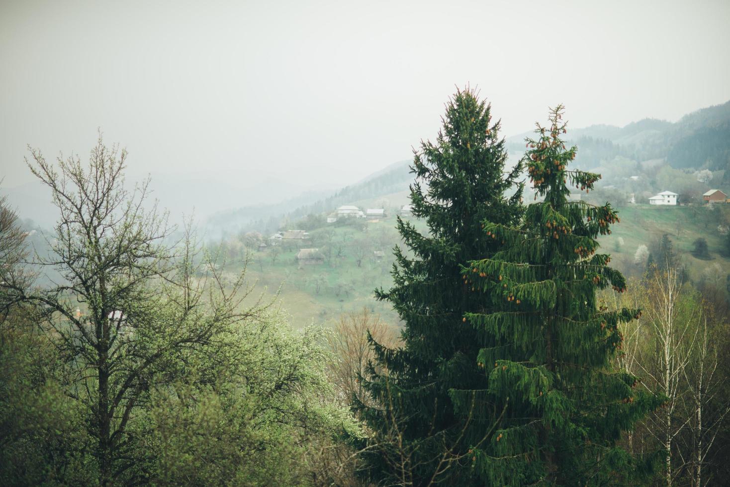 nebliger Blick auf die Berge foto