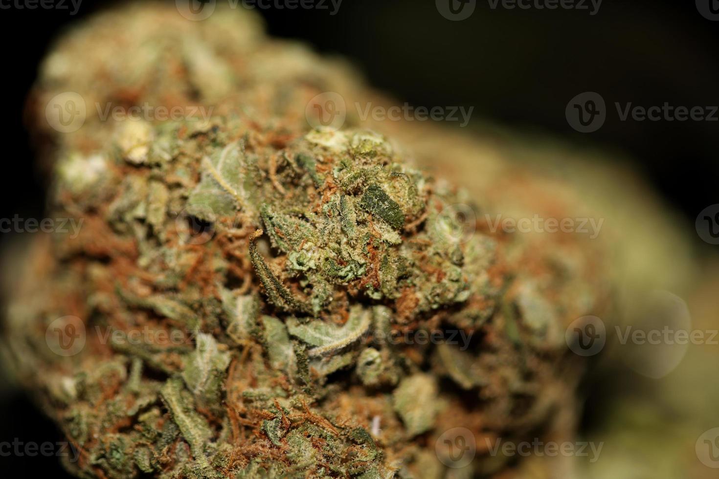 Rezept medizinisch Marihuana Blume im schwarz Segeltuch Cannabis Knospe Gras Belastung Super Zitrone Dunst botanisch Hintergrund groß Größe hoch Qualität Rauchen druckt foto