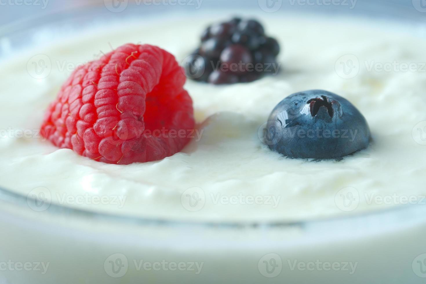 frischer Joghurt mit Blaubeeren in einer Schüssel foto