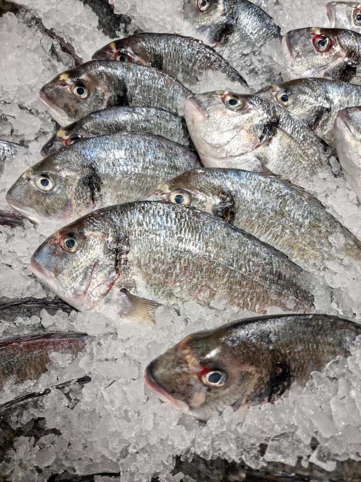 frisch Ozean Fisch und Meeresfrüchte beim das Fisch Markt foto