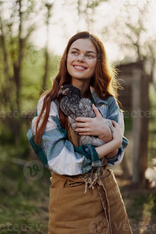 ein glücklich jung Frau lächelt beim das Kamera und hält ein jung Hähnchen Das liegt Eier zum ihr Bauernhof im das Sonnenlicht foto