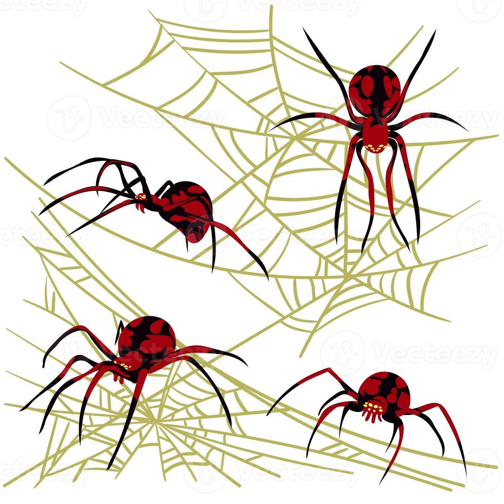 Spinne Netz Hintergrund zum Halloween Gruß Karten auf ein Weiß Hintergrund. ein schwarz und rot Spinne auf ein Gelb Spinnennetz jagt und webt Netze. Spinnen von anders Seiten. gefährlich Spinne und Spinnennetz foto