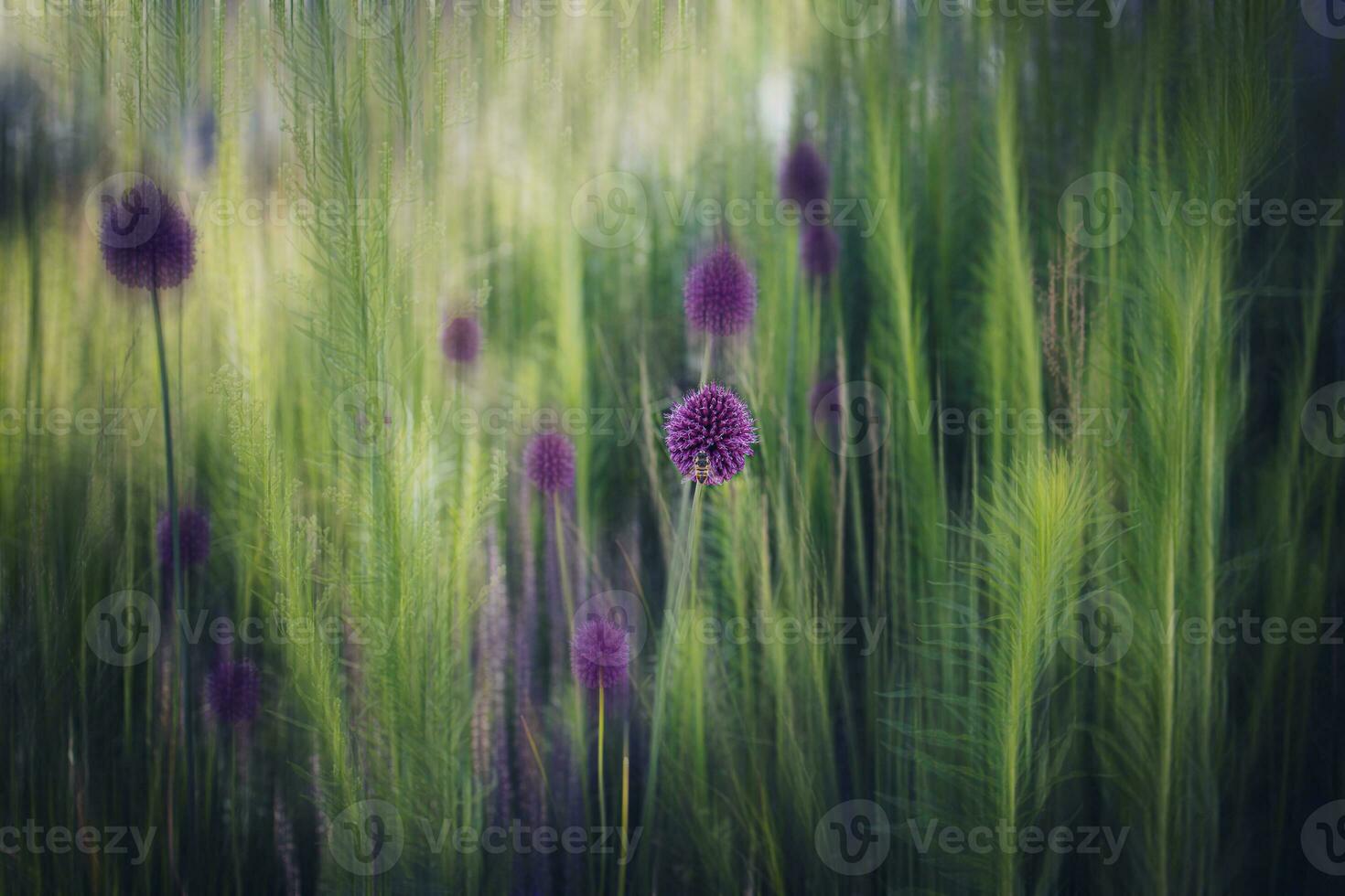 lila Blume im Nahansicht auf ein Grün Garten Hintergrund foto