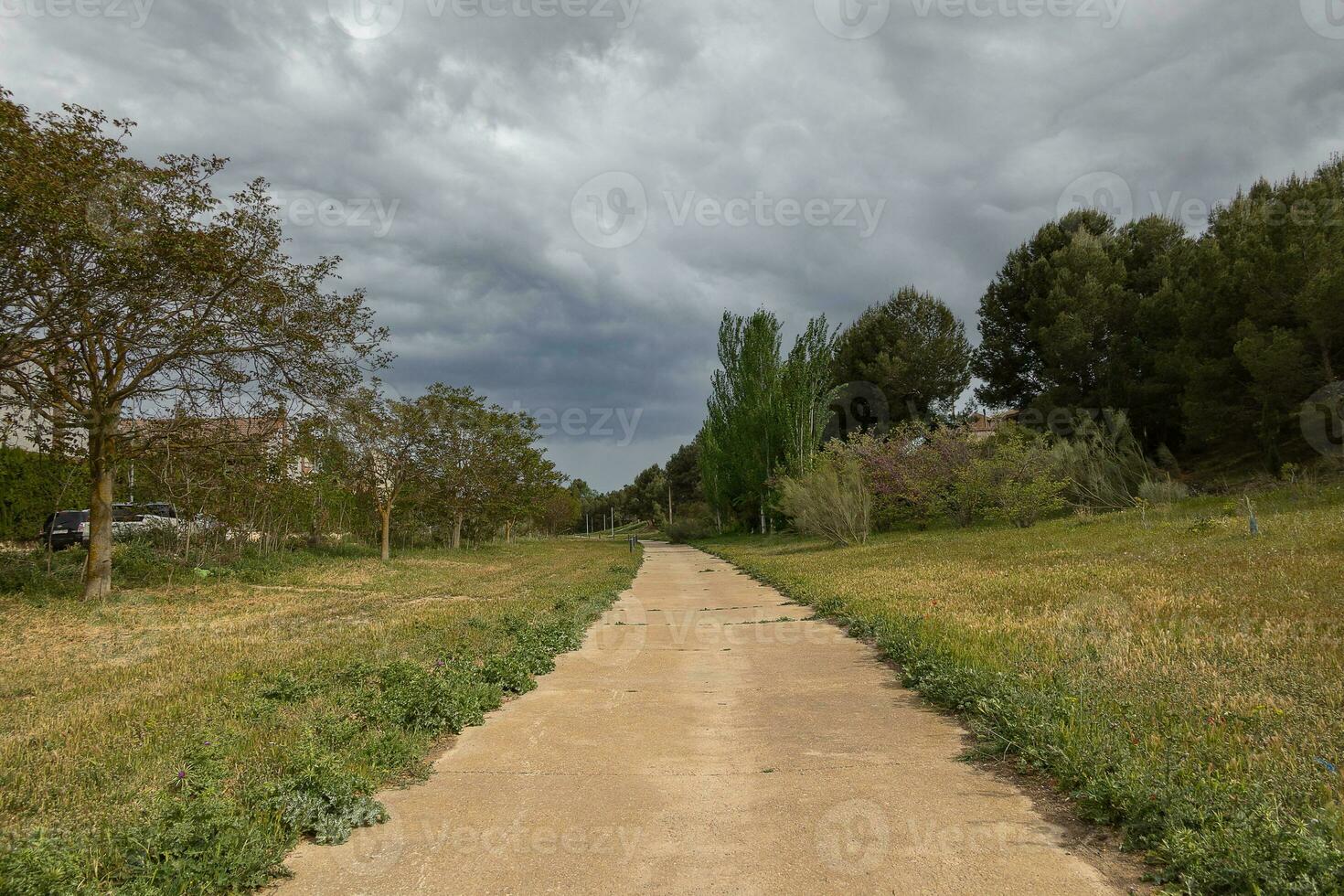 Sommer- Landschaft mit ein sandig Straße im das Felder auf ein wolkig Tag foto