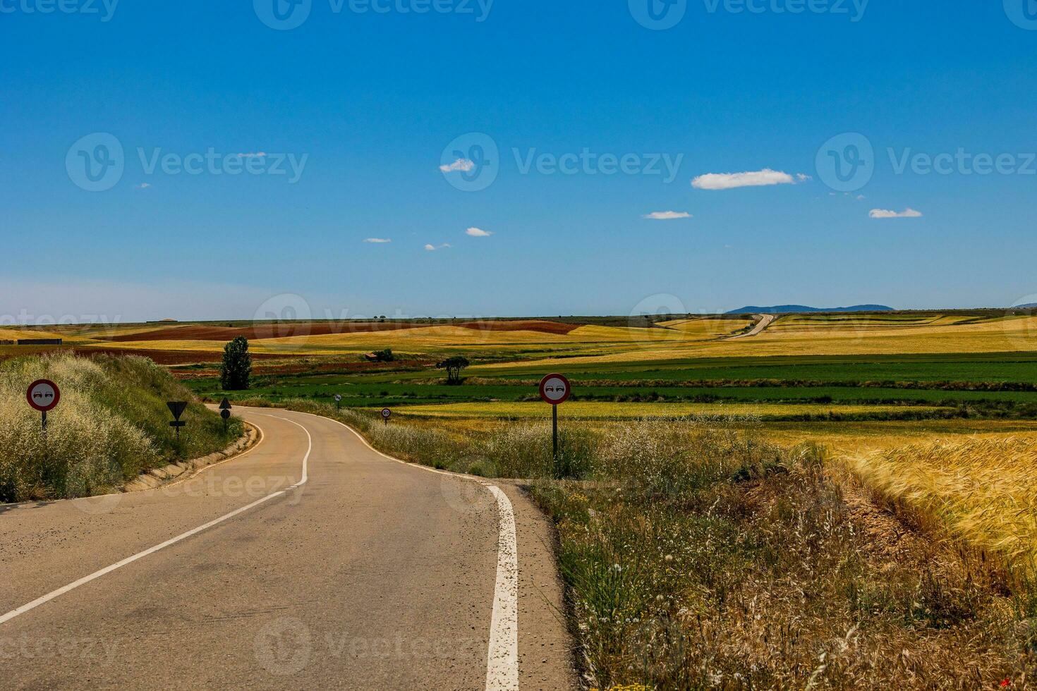 Landschaft Asphalt Straße durch Felder und Wiesen im warm Sommer. Tag Aragon Spanien foto