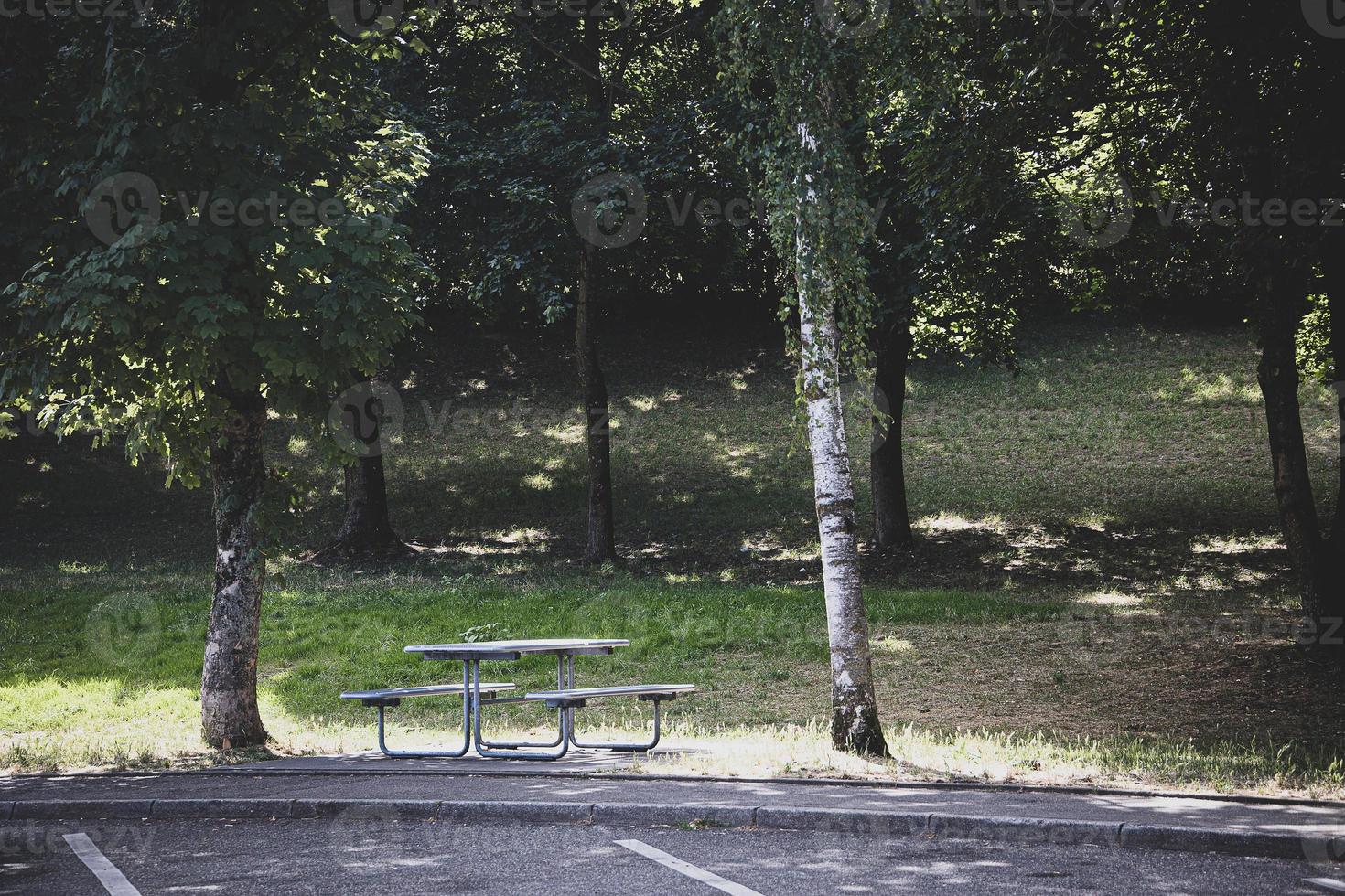 Sommer- Landschaft Picknick Bank unter das Bäume im das Park auf ein sonnig Tag foto