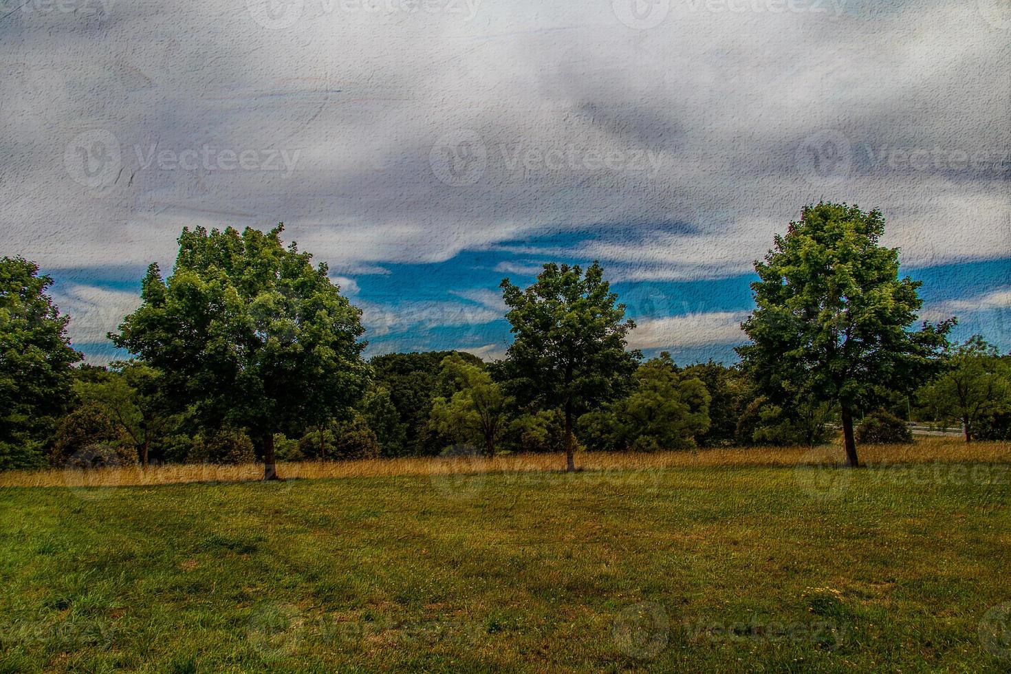Sommer- Landschaft mit Grün Bäume, Wiese, Felder und Himmel mit Weiß Wolken foto